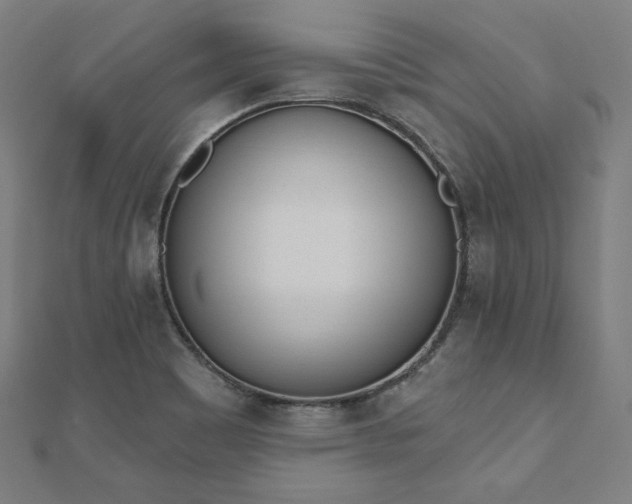 X0000112501465200908171258