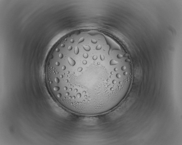 X0000112501466200908171258