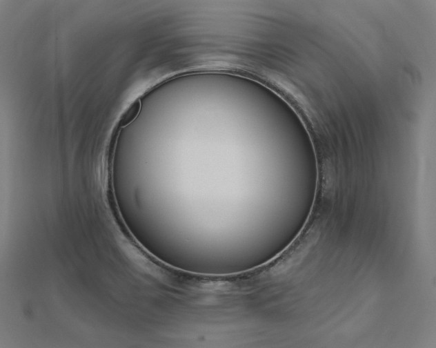 X0000112501467200908171258