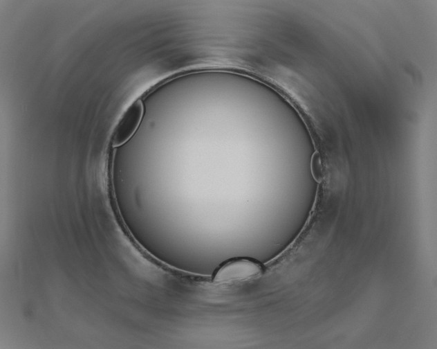 X0000112501468200908171258