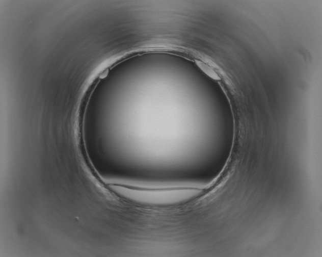 X0000112501469200908171258