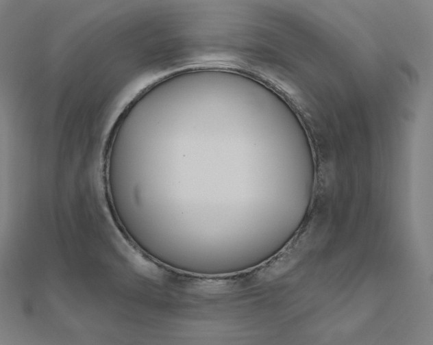 X0000112501470200908171258