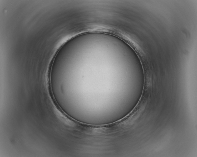 X0000112501471200908171258
