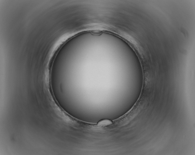 X0000112501472200908171258