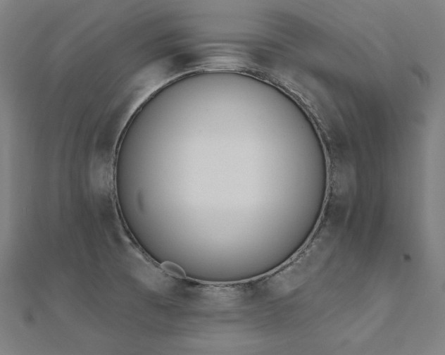 X0000112501473200908171258