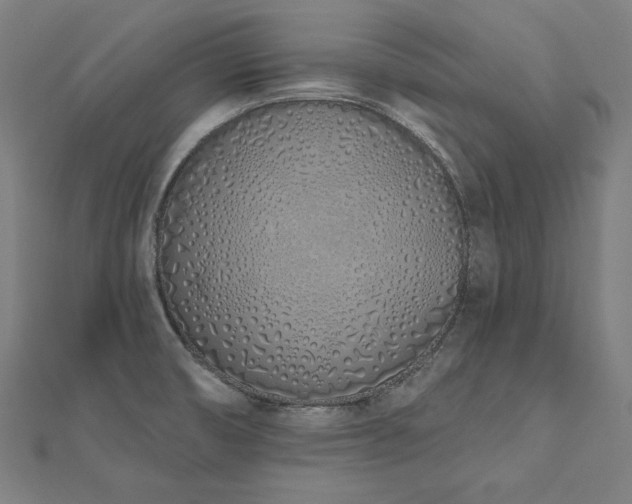 X0000112501474200908171258