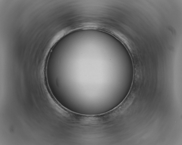 X0000112501475200908171258