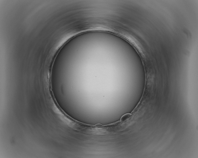 X0000112501476200908171258