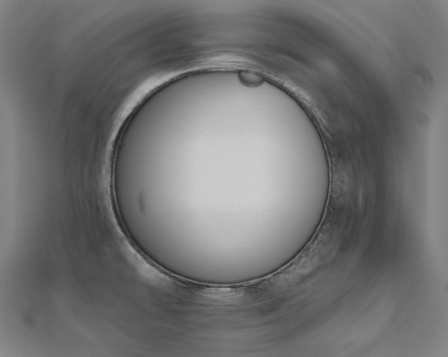 X0000112501478200908171258