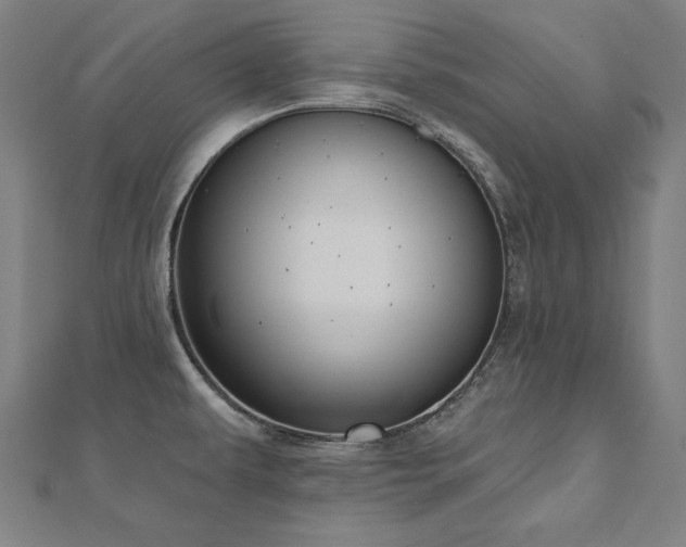 X0000112501479200908171258