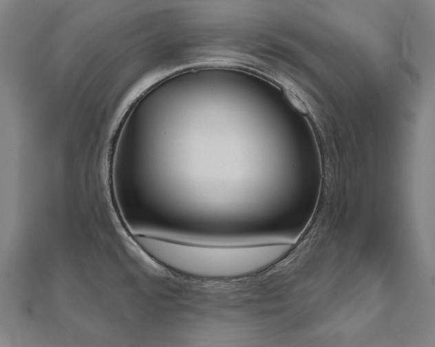X0000112501480200908171258