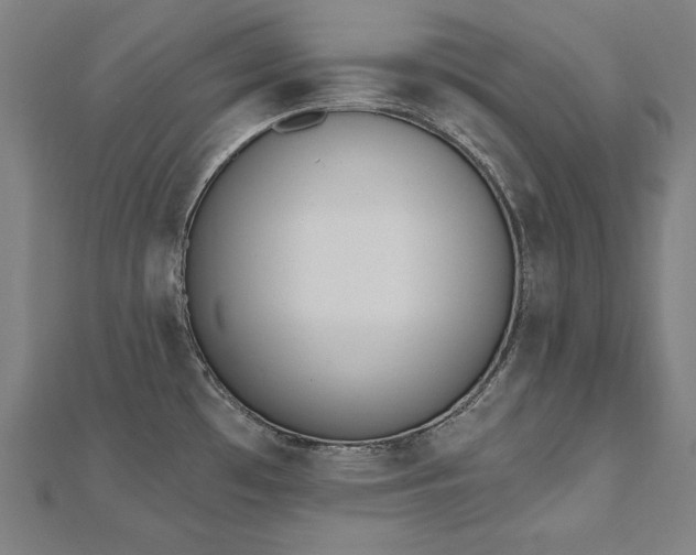 X0000112501481200908171258