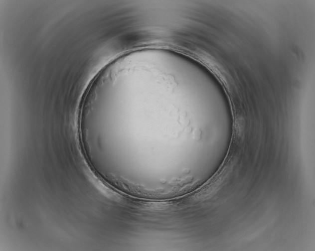 X0000112501482200908171258