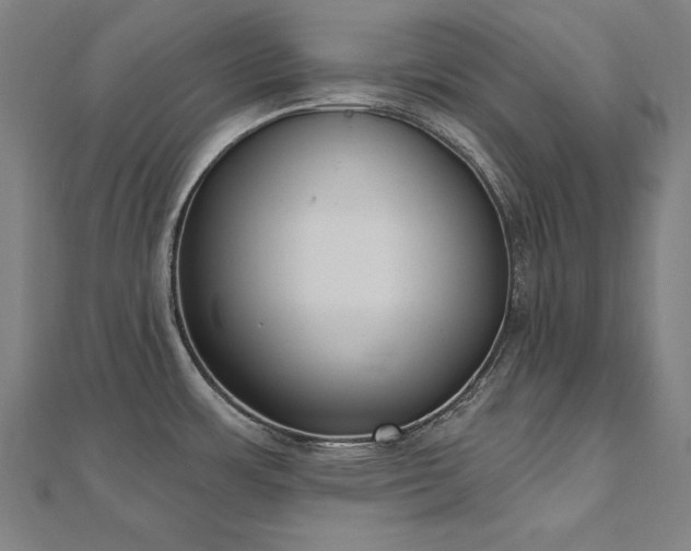 X0000112501483200908171258