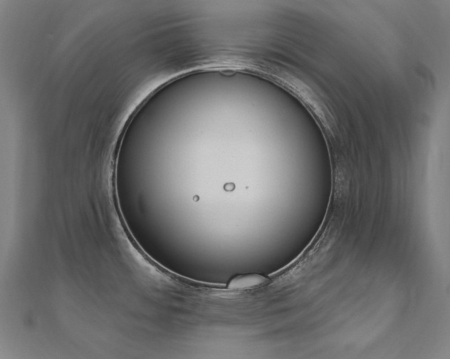X0000112501484200908171258
