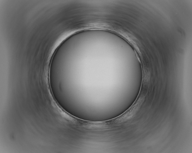 X0000112501486200908171258