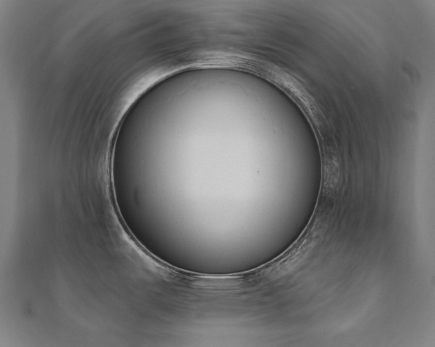 X0000112501487200908171258