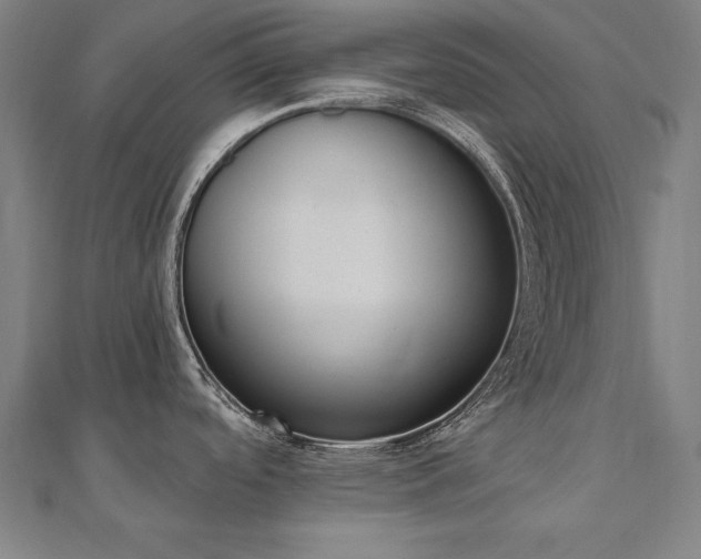 X0000112501488200908171258