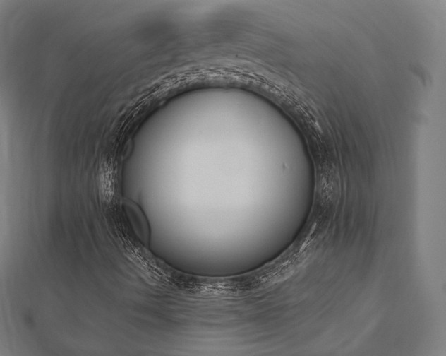 X0000112501490200908171257