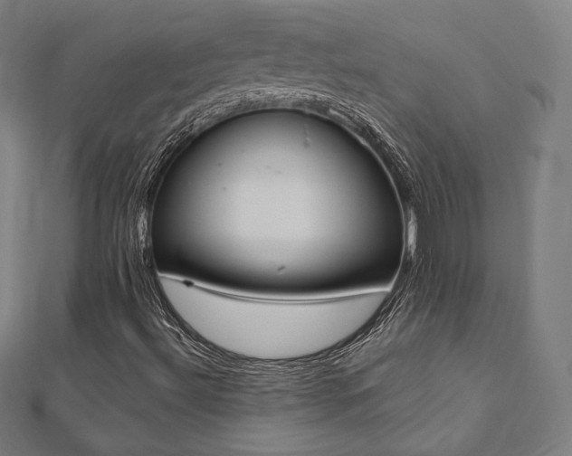 X0000112501492200908171257