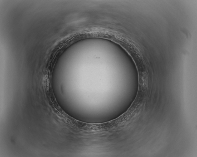 X0000112501493200908171257