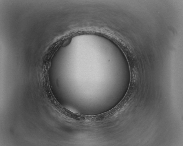X0000112501494200908171257