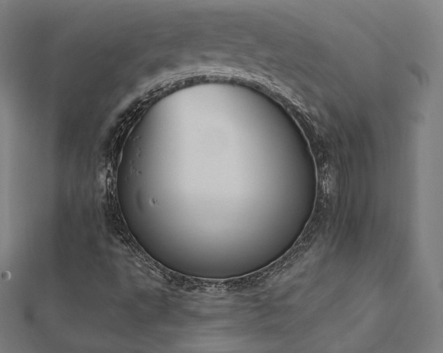 X0000112501495200908171257