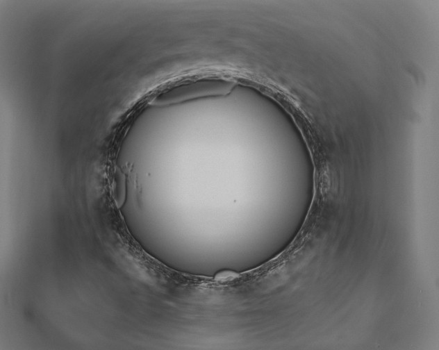 X0000112501496200908171257