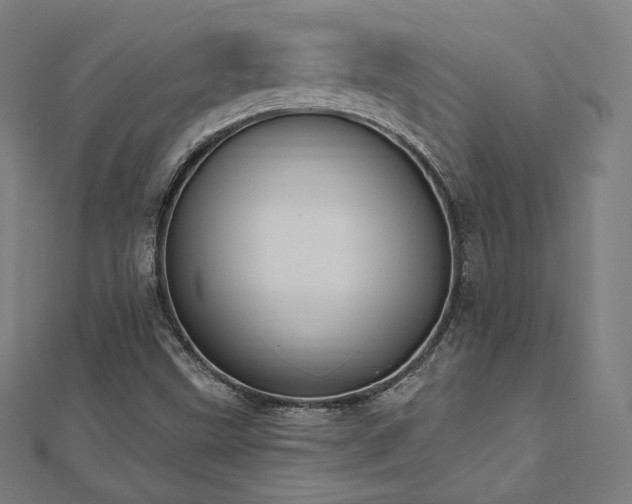X0000112501499200908171257