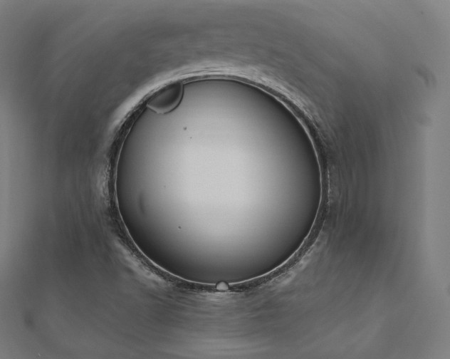 X0000112501502200908171257