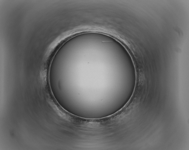 X0000112501503200908171257