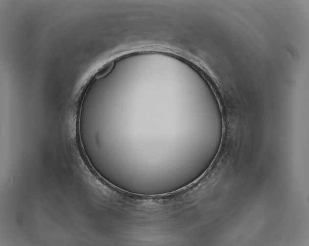 X0000112501504200908171258