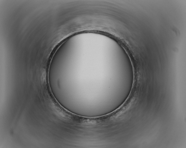 X0000112501505200908171258