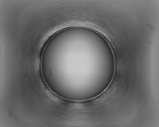 X0000112501507200908171258