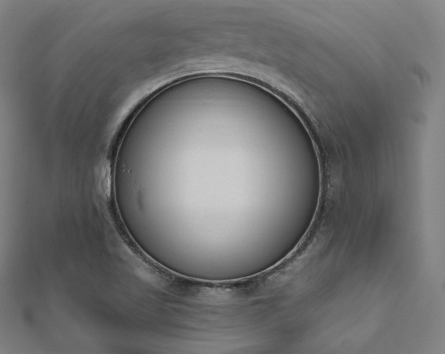X0000112501509200908171258