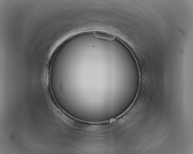 X0000112501510200908171258