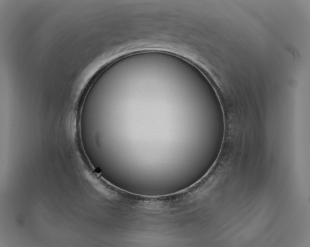 X0000112501511200908171258