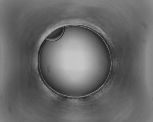 X0000112501512200908171258