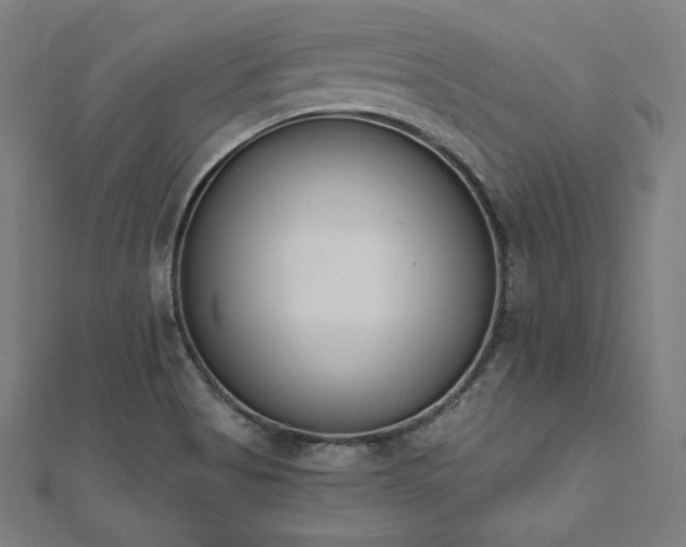 X0000112501513200908171258