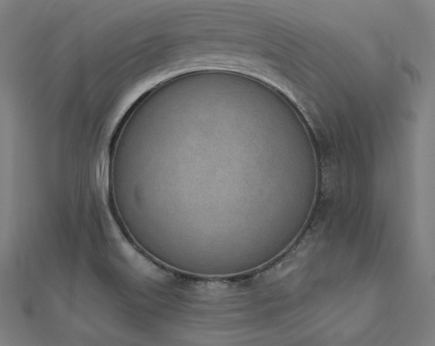 X0000112501515200908171258