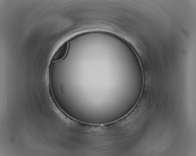 X0000112501516200908171258