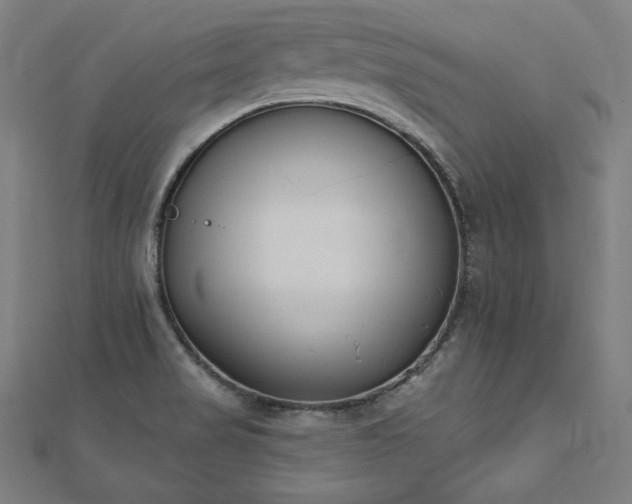 X0000112501517200908171258