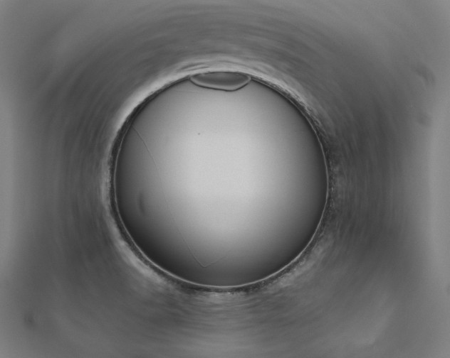 X0000112501518200908171258