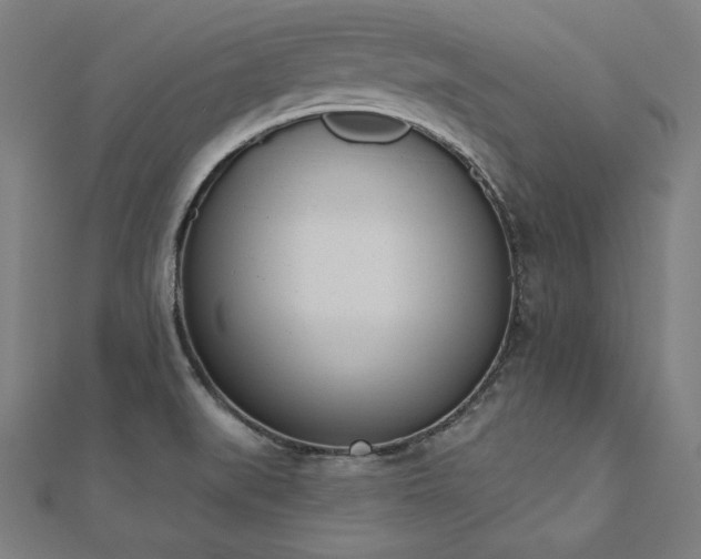 X0000112501519200908171258