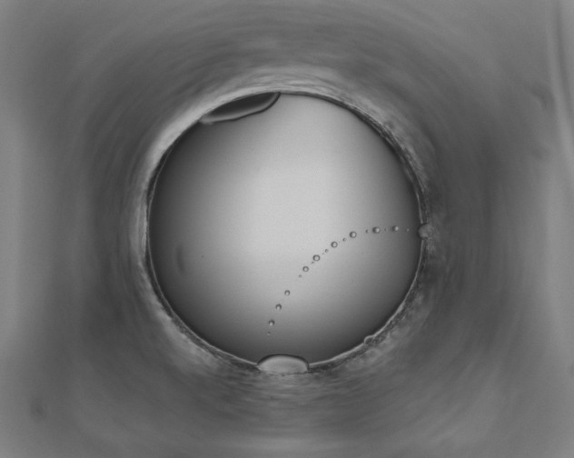 X0000112501520200908171258