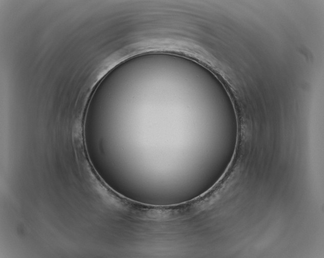 X0000112501521200908171258
