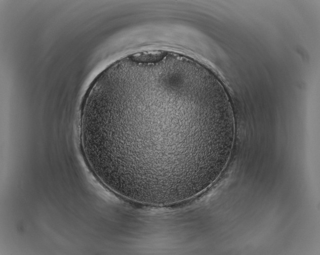 X0000112501522200908171258