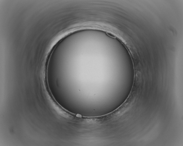 X0000112501523200908171258