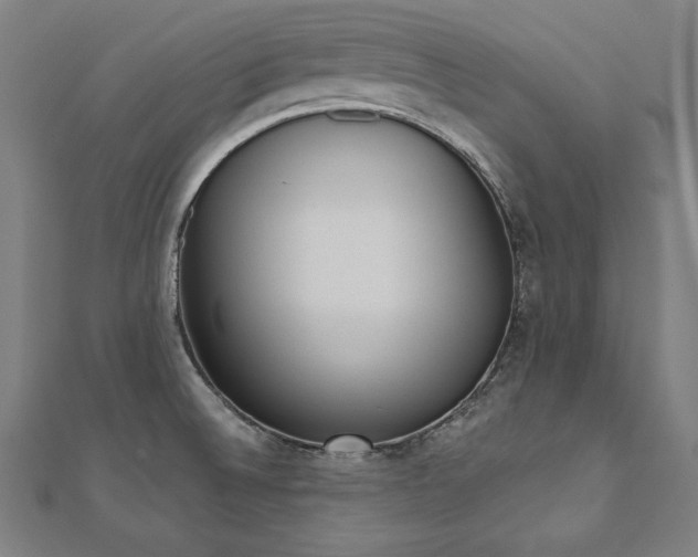 X0000112501524200908171258