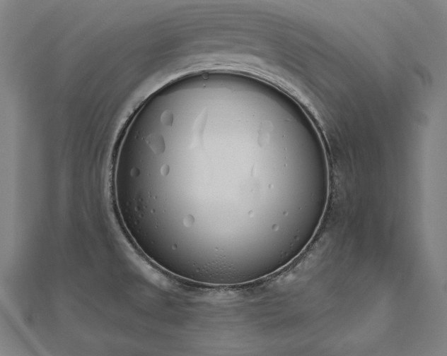 X0000112501525200908171258